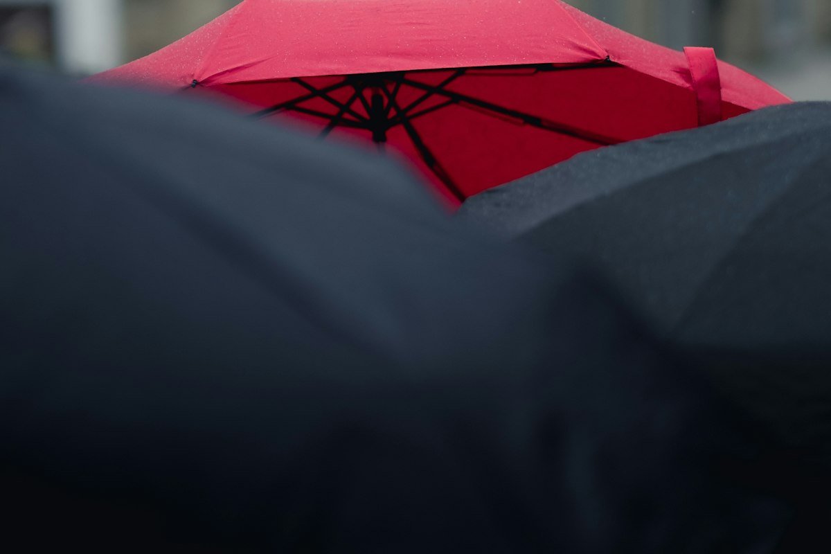 Paraguas negros y rojos en primer plano, imagen de estar preparado para los días de lluvia